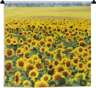 Produktbild von MuchoWow® Wandteppich Wandbehang Sonnenblume - Blumen - Natur 90x90 cm Tapisserie Dekoration Wandtuch - Wandaufhänger