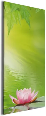 Produktbild von Wallario Premium Leinwandbild Seerose auf dem Wasser in Größe 50 x 125 cm