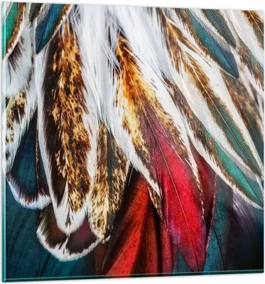 Produktbild von Bilder auf glas - Federn Federn Vogel - 70x70cm - Glasbilder - Wandbilder - Kunstdruck - zum Aufhängen bereit - Wanddekoration aus Glas - Glas Bilder - Wandbild auf Glas - Einteilig - GAC70x70-3743