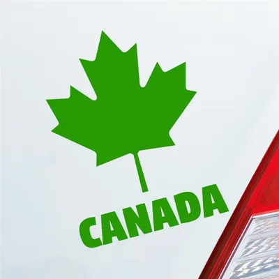Produktbild von Auto Aufkleber Kanada Canada Ahornblatt maple leaf Urlaub Car 10x13 cm Hellgrün Sticker Heckscheibenaufkleber