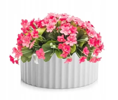 Immagine prodotto di Ciotola in Vetroceramica bianca conchiglia elegante 26x13 cm