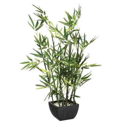 Image de Bambou artificiel, décoration polyvalente dans un beau pot