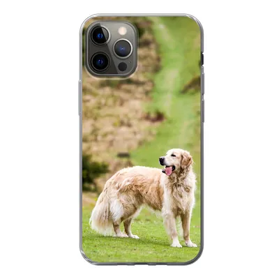 Produktbild von MuchoWow® Handyhülle Schutzhülle Hülle für iPhone 13 Pro Schönes Bild eines Golden Retrievers Silikon Softcase Handy Hülle - Handy-Tasche