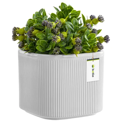 Produktbild von Blumentopf Blumenübertopf Gehäuse Farbe Weiß 14,5 cm H13,5 cm Glanz Oberfläche Modern Glamour