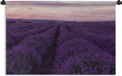 Produktbild von MuchoWow® Wandteppich Wandbehang Lavendel - Lila - Blumen - Natur 120x80 cm Tapisserie Dekoration Wandtuch - Wanddekorationen - Wandtücher