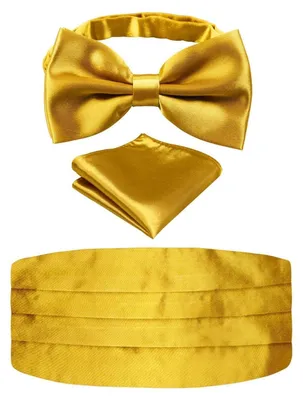 Immagine prodotto di Set da uomo composto da papillon a farfalla, marsupietto e fazzoletto da taschino, motivo Paisley, colore oro, materiale: poliestere