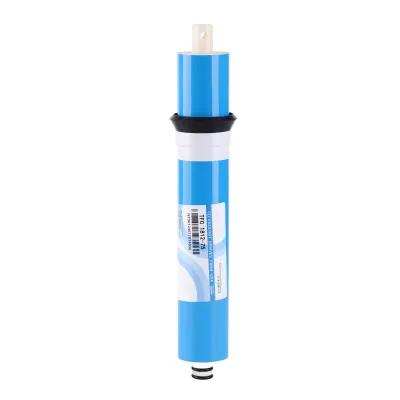 A single water filter membrane component is shown against a white background.