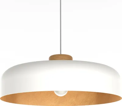 Produktbild von Bois Metall Pendelleuchte Blatt, skandinavischer Stil, 40 cm Durchmesser, individuell anpassbar