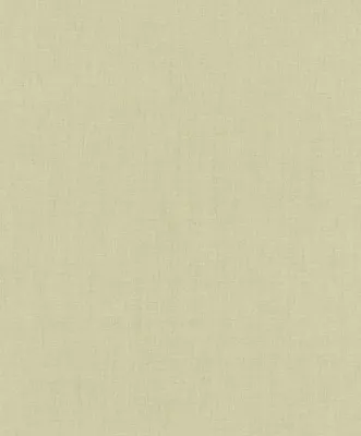 Produktbild von Rasch Vliestapete Florentine IV Uni grün 10,05 x 0,53 m