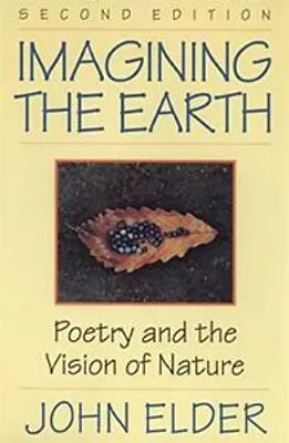 Produktbild von Imagining the Earth