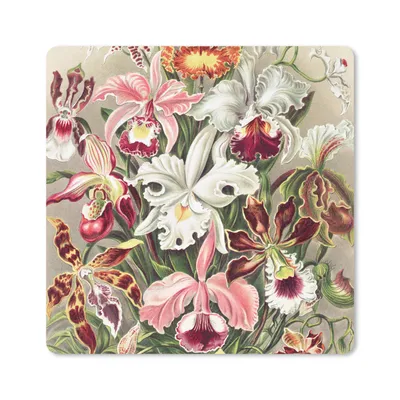 Produktbild von MuchoWow® Mauspad Mousepad Blumen - Ernst Haeckel - Jahrgang - Orchidee 20x20 cm - Mousepads - Maus Mat - Pad - Mausunterlage - Desk Mat - Bureauartikeln