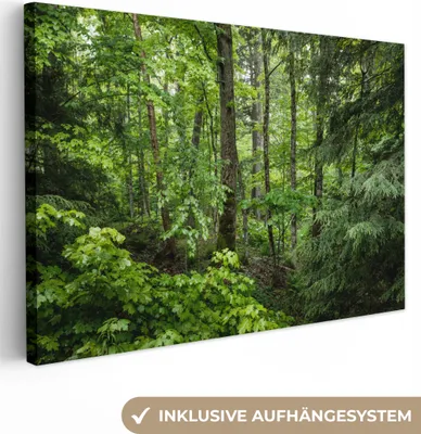 Produktbild von MuchoWow® - Leinwandbilder - Wald - Baum - Grün, Wandbild, Wanddeko Bilder Wohnzimmer, 120x80 cm