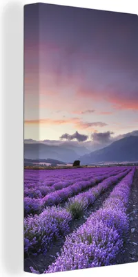 Produktbild von MuchoWow® - Leinwandbilder - Sonnenuntergang über Lavendel, Wandbild, Wanddeko Bilder Wohnzimmer, 40x80 cm