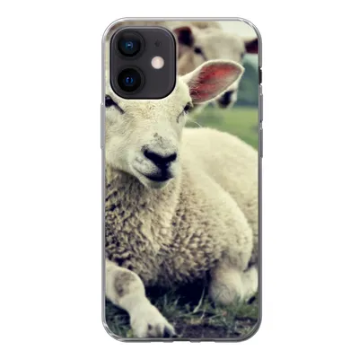 Produktbild von MuchoWow® Handyhülle Schutzhülle Hülle für iPhone 12 Schaf - Lamm - Gras Silikon Softcase Handy Hülle - Schutzhülle