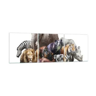 Produktbild von Bilder auf glas - Tiere Koala Löwe Affe - 150x50cm - Glasbilder - Wandbilder - Kunstdruck - zum Aufhängen bereit - Wanddekoration aus Glas - Glas Bilder - Wandbild auf Glas - 3 Teile - GCA150x50-3166