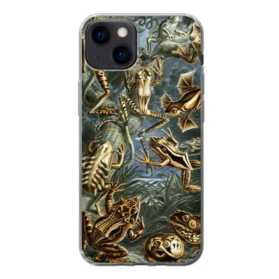 Produktbild von MuchoWow® Handyhülle Schutzhülle Hülle für iPhone 13 Batrachia - Haeckel - Alte Meister Silikon Softcase Handy Hülle - Karteninhaber