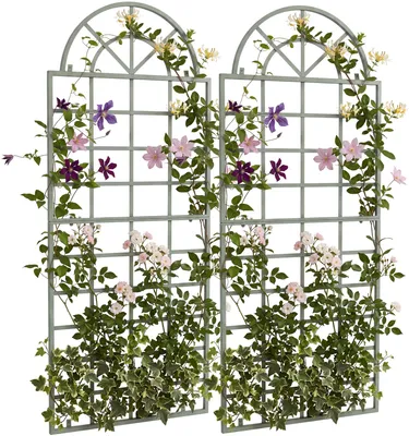 Produktbild von CLP Rankgitter Viva 2er Set aus Eisen mit Rundbogen und Wandhalterung für den Garten antik-grün, KI-generiertes Bild