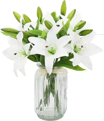 Image de Bouquet de 6 fleurs artificielles blanches, fleurs artificielles de taille réelle, idéales pour les mariages, la décoration intérieure et extérieure (blanc, 6 pièces)