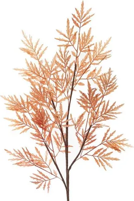 Obrázek produktu pro Flora 701 Orange