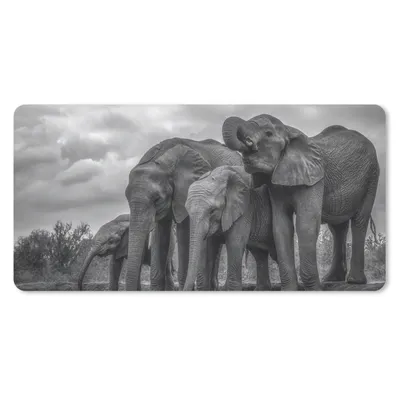 Produktbild von MuchoWow® Mauspad Mousepad Elefant - Tiere - Wasser - Schwarz und weiß 60x30 cm - Mousepads - Maus Mat - Pad - Mausunterlage - Nachhaltig