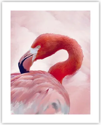 Produktbild von Poster - Poster ohne Rahmen - Flamingo Vogel Porträt - 40x50 cm - Wand Bild - Wanddeko - Wandbilder - Kunstposter - Wandposter - Bilder - Kunstdruck - Wanddekoration - Wandbild - P2XPA40x50-4984