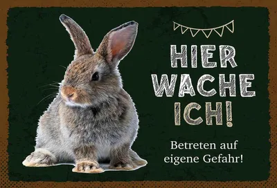 Produktbild von vianmo Holzschild 20x30 cm Kaninchen hier wache eigene Gefahr