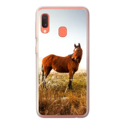 Produktbild von MuchoWow® Handyhülle Schutzhülle Hülle für Samsung Galaxy A20e Pferd - Weide - Australien Silikon Softcase Handy Hülle - Abdeckung