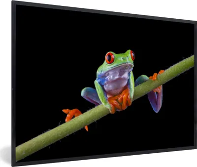 Produktbild von MuchoWow® MuchoWow® Gerahmtes Poster Frosch - Pflanze - Schwarz 90x60 cm - Poster mit zchwarzem Bilderrahmen - Fotorahmen - Foto-Plakat