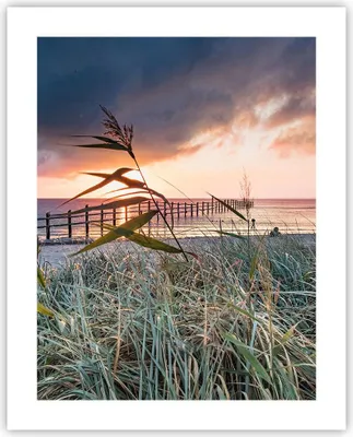 Produktbild von Poster - Poster ohne Rahmen - Strand Gras Horizont - 40x50 cm - Wand Bild - Wanddeko - Wandbilder - Kunstposter - Wandposter - Bilder - Kunstdruck - Wanddekoration - Wandbild - P2XPA40x50-4625