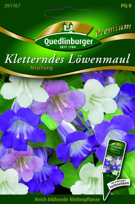 Produktbild von Quedlinburger Saatgut - Kletterndes Löwenmaul Mischung - Samen - 291767