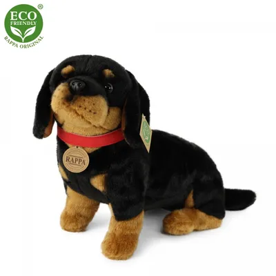 Image de Peluche Teckel Avec Collier 36 Cm Ecologique