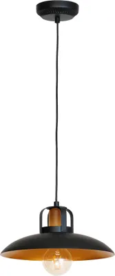 Productafbeelding van Hanglamp 1x60W E27 FELIX MLP3682 Milagro