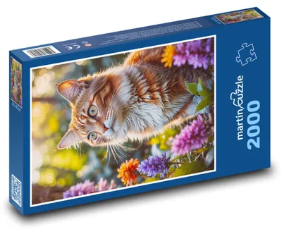 Obrázok produktu pre martinpuzzle - Puzzle 2000 - Maciatko