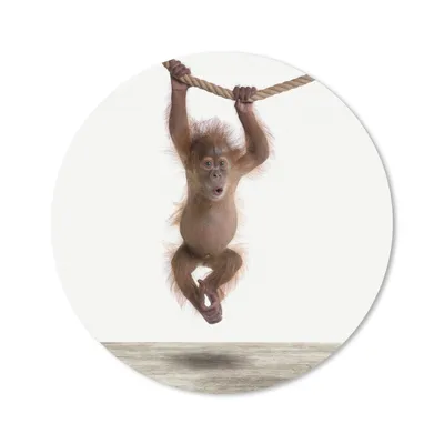 Produktbild von MuchoWow® Mauspad Mousepad Tiere - Orang-Utan - Orange 40x40 cm - Mousepads - Maus Mat - Pad - Mausunterlage - Schreibtisch Accessoires
