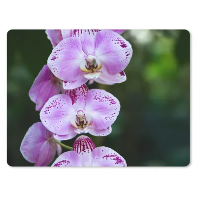 Produktbild von MuchoWow® Mauspad Mousepad Blühende Orchideen 23x19 cm - Mousepads - Maus Mat - Pad - Mausunterlage - Schreibtischunterlage - Mauspad