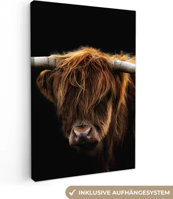 Produktbild von Wanddeko 80x120 cm - Schottisches Hochlandrind - Hörner - Schwarz - Tiere - Natur - Wildtiere - Kuh, Deko Wohnzimmer, Leinwand Bilder