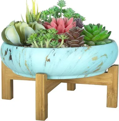Produktbild von Keramische Pflanztopf für fettfreudige Pflanzen, Cactussen und Bonsai - 25,5 cm