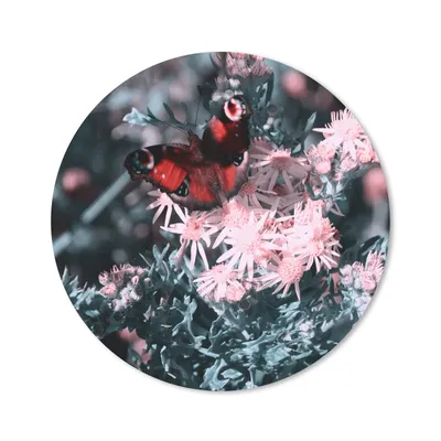 Produktbild von MuchoWow® Mauspad Mousepad Tagpfauenauge auf rosa Blüten 40x40 cm - Mousepads - Maus Mat - Pad - Mausunterlage - Schreibtisch Accessoires