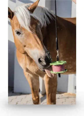 Produktbild von Lolly-Lick Leckstein Apfel 750 g