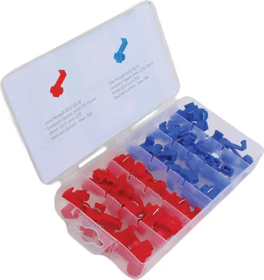 Image de Bornes De Connexion Rapide Pour Raccordement De Fils