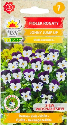 Zdjęcie produktu dla R9985 Fiołek Rogaty Trójbarwny Johny Jump Up 0,3G Nasiona