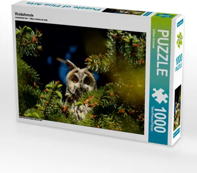 Produktbild von CALVENDO Puzzle Waldohreule | 1000 Teile Lege-Größe 64x48cm Foto-Puzzle für glückliche Stunden