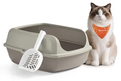 Imagen del producto de Arenero para gatos Feandrea XXL, con paredes laterales altas, incluye paleta