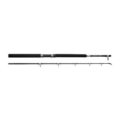 Produktbild von ABU GARCIA GT 602 Boat , 1,84m, 6,04ft, 30lbs, 2 Teile, Bootsangelrute, 1196541