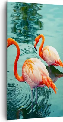Produktbild von Bild auf Leinwand - Leinwandbild - Einteilig - Rosa Flamingos Wasser - 65x120cm - Wand Bild - Wanddeko - Wandbilder - Leinwanddruck - Bilder - Wanddekoration - Leinwand bilder - PA65x120-4203