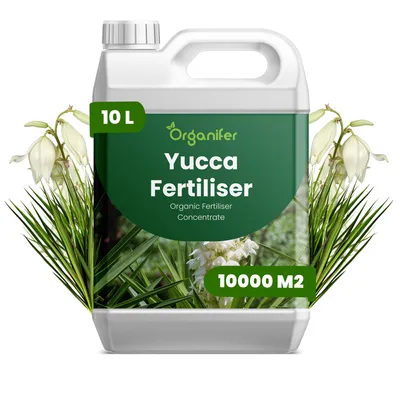 Produktbild von Flüssigdünger Für Yucca 10L – 3-4-3 NPK – Flüssig-Pflanzendünger Für Yucca – Für Optimale Entwicklung, Widerstandskraft & Pflanzenstärke – Organifer