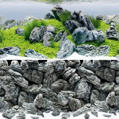 Produktbild von JUWEL Aquarium - Rückwandposter 4, S, 60 x 30 cm