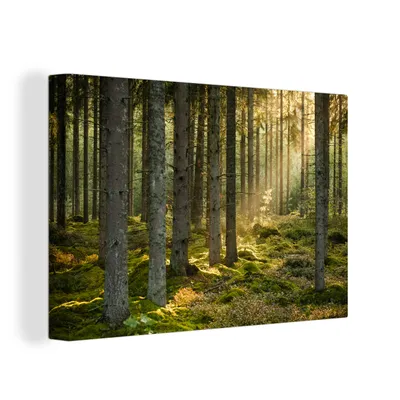 Obrázok produktu pre OneMillionCanvasses® - Maľba na plátne - Obraz na plátne Nástenná maľba na plátne - Les - strom - slnko - 150x100cm - Fotografia na plátne - maľba na