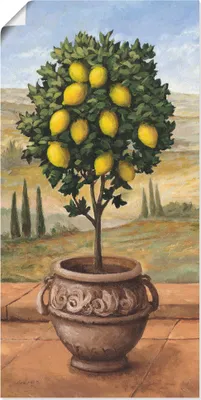 Produktbild von ARTland Poster Zitronenbaum Größe: 50x100 cm