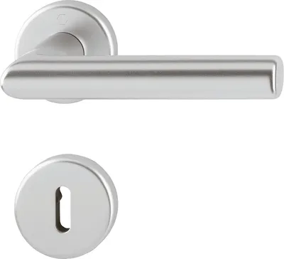 A silver door handle and escutcheon plate are shown against a white background.